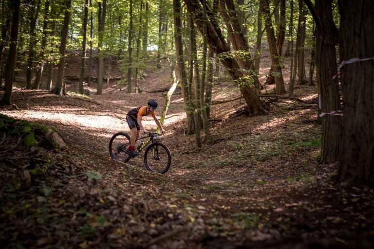 384812400_691779476321016_2580142719306740439_n